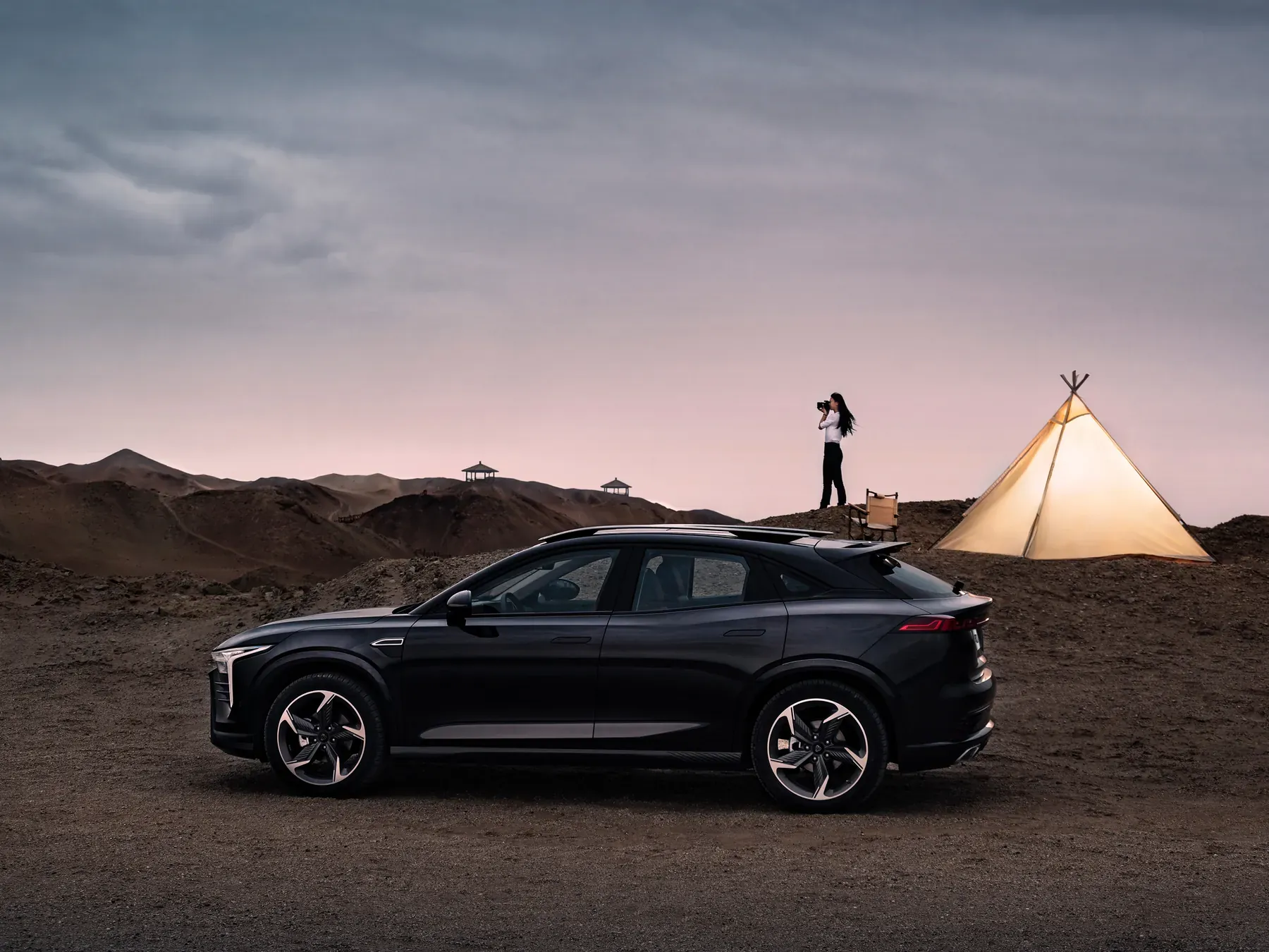 Black ABADAL NOVO in profile at dusk in a desert landscape